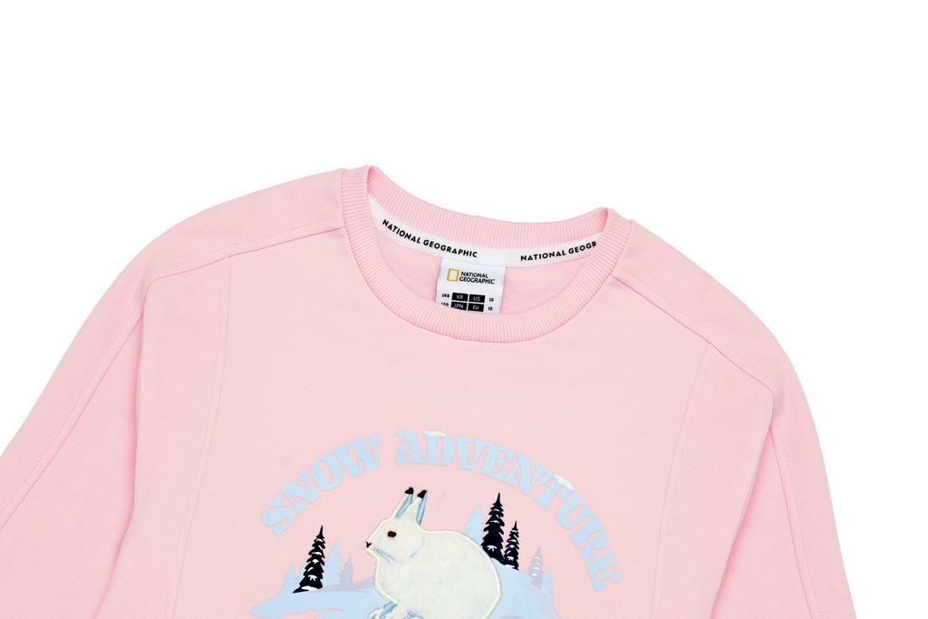 Girls Applique Graphic Sweatshirt (Fleece)