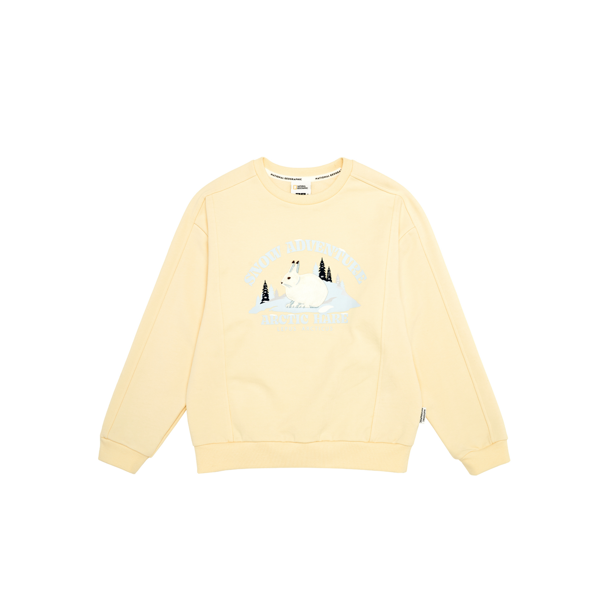 Kids Applique Graphic Sweatshirt