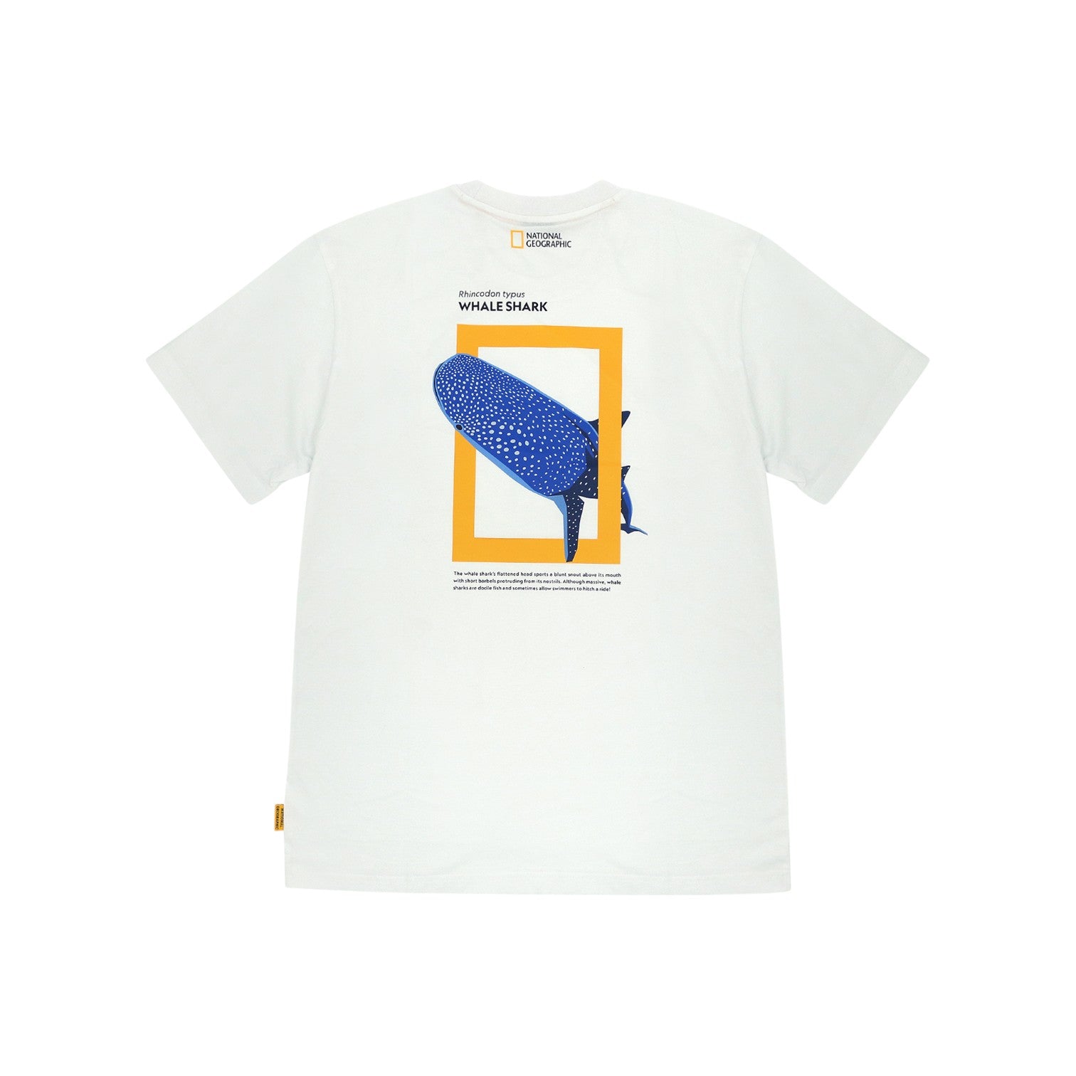 Kids Ph Exclusive Animal Tee (Whale Shark)