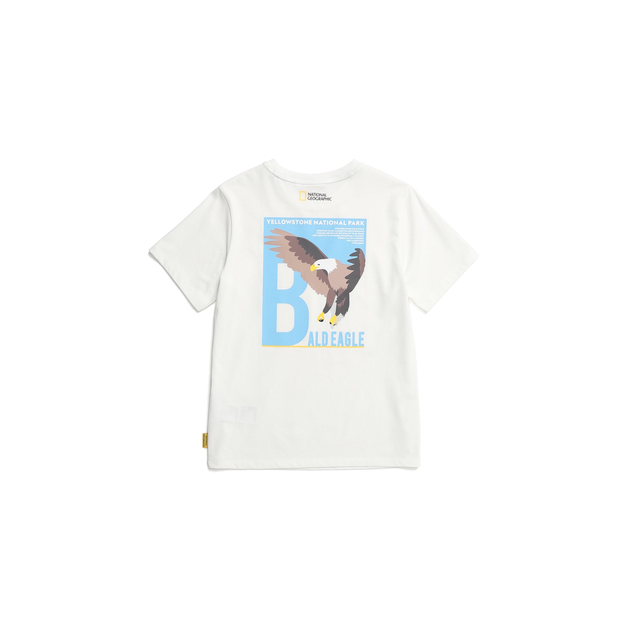 KIDS ANIMAL GRAPHIC (BALD EAGLE) T-SHIRT