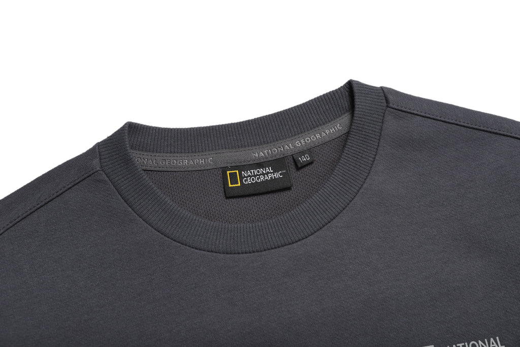 Kids Sweatshirt And Jogger Set- C Grey