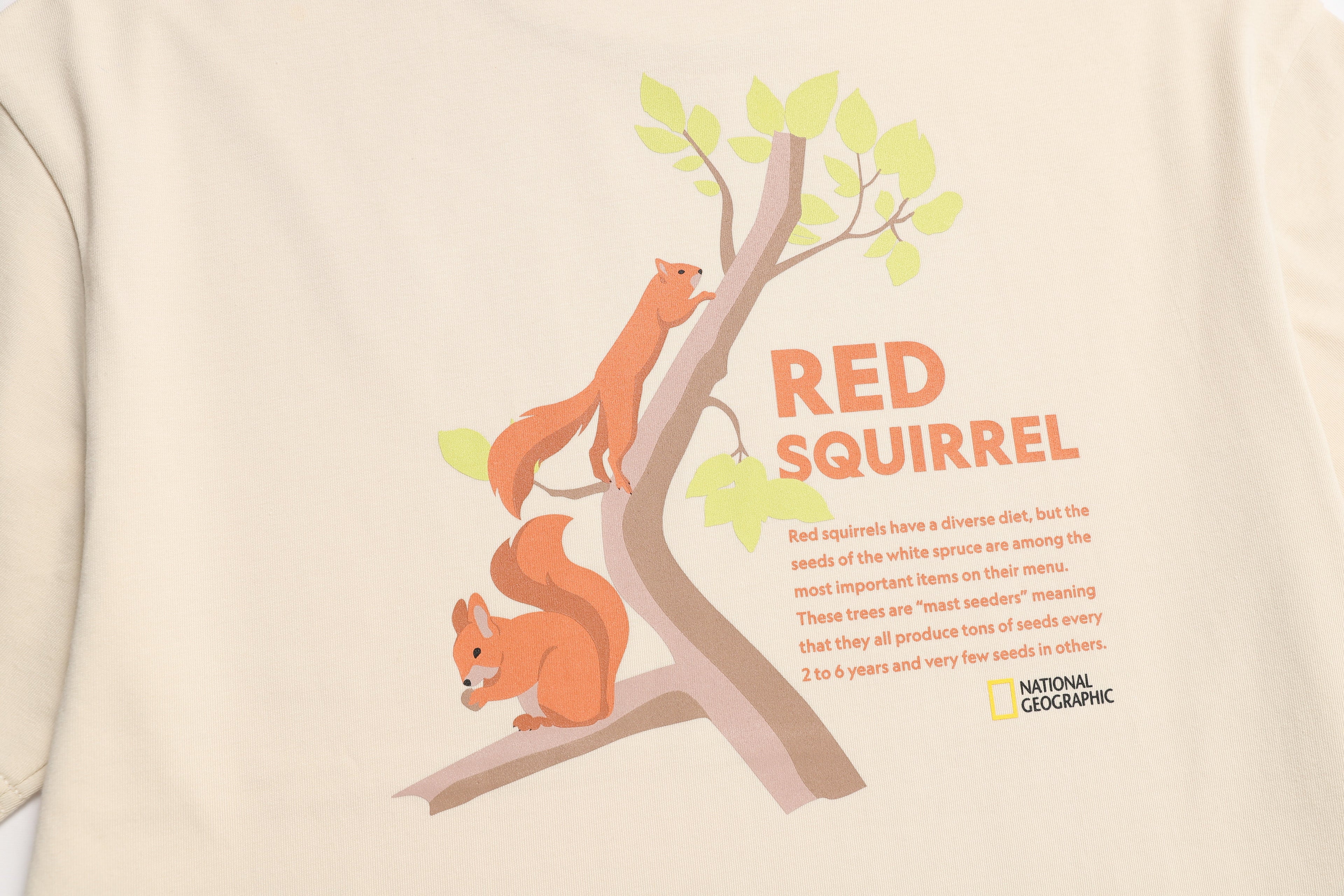 Kids Short Sleeved T-Shirt W/ Animal Patch  And Graphic (Red Squirrel)