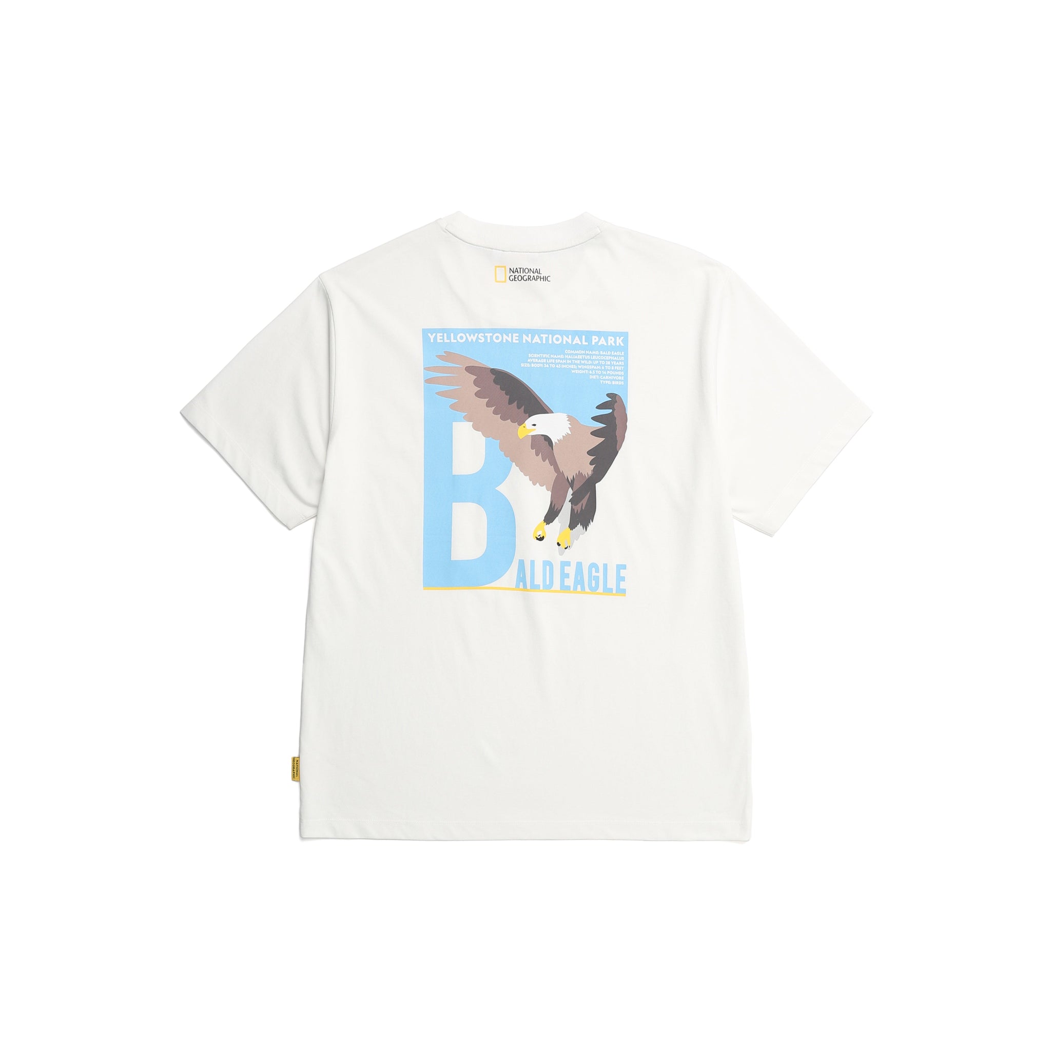 UNISEX ANIMAL (BALD EAGLE) BACK GRAPHIC T-SHIRT