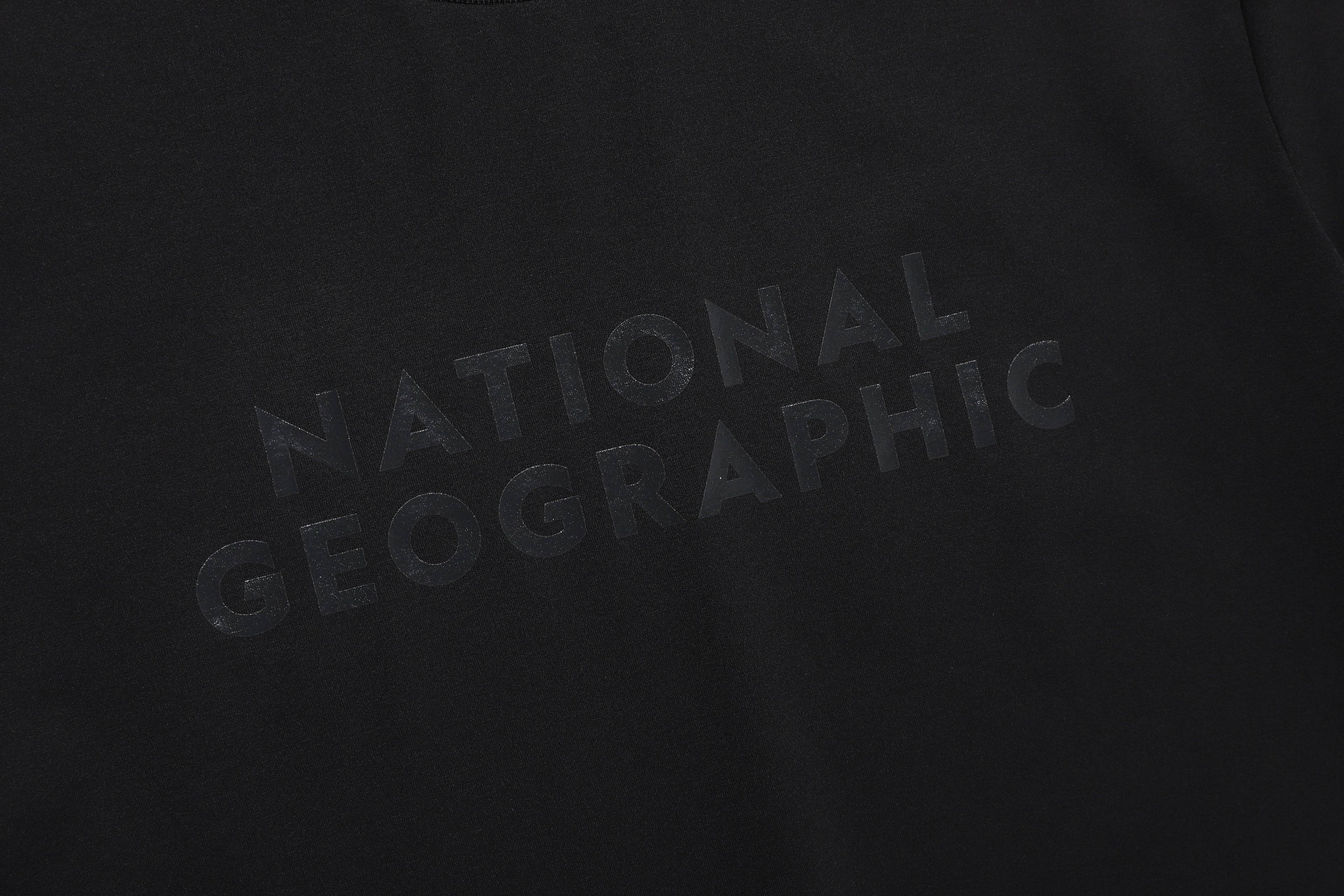 Grey Parrot Basic Fit Ss T-Shirt Carbon Black