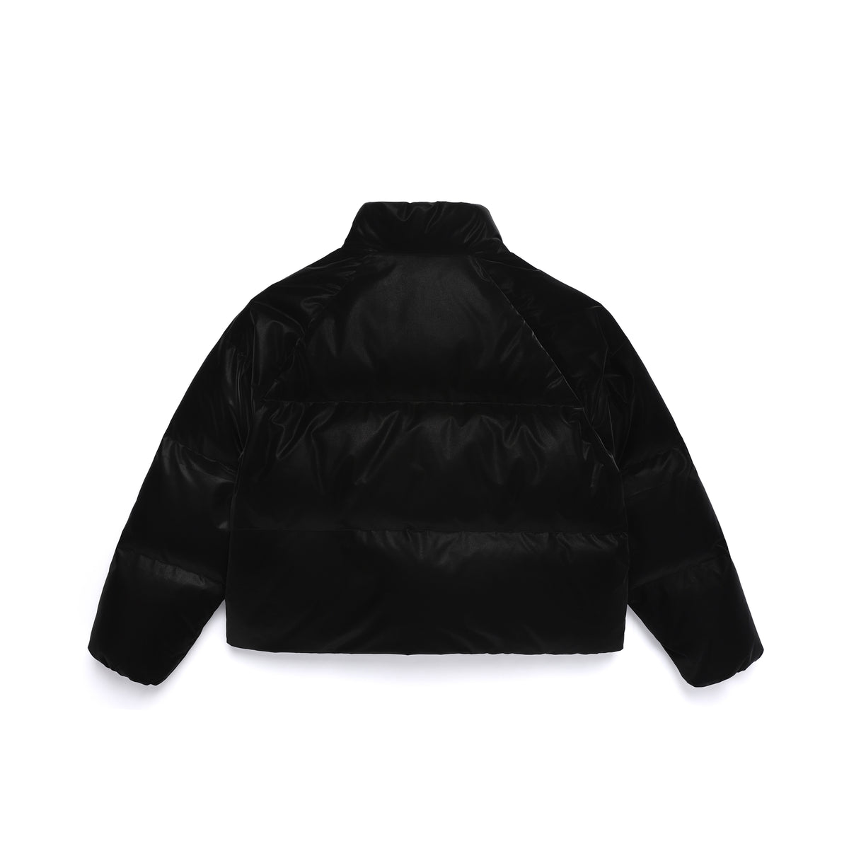 Women's Leather Like High Neck Duck Down Jacket- Black